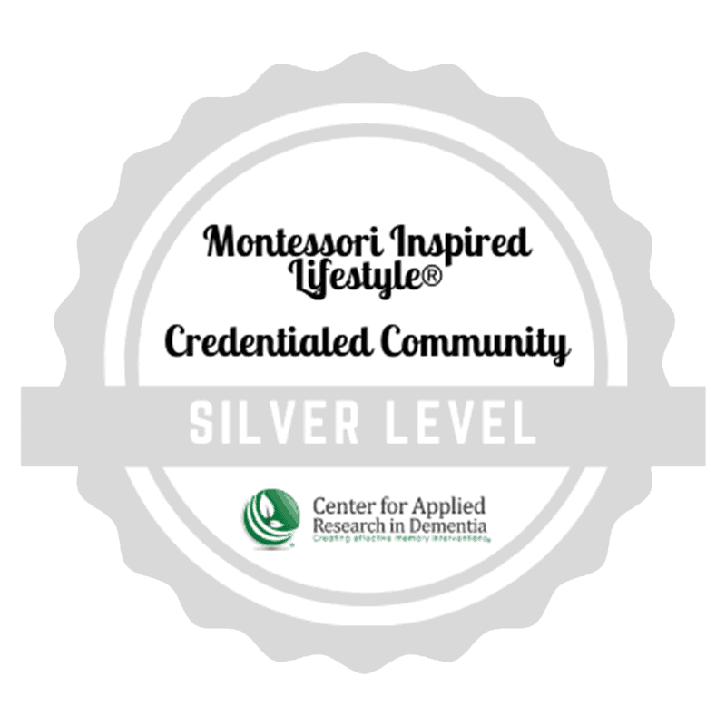Silver Level