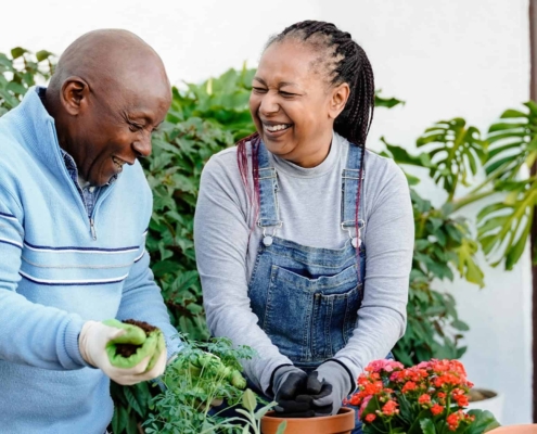 Two older adults gardening